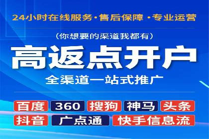 案例分析：SEM广告助力电商行业突破